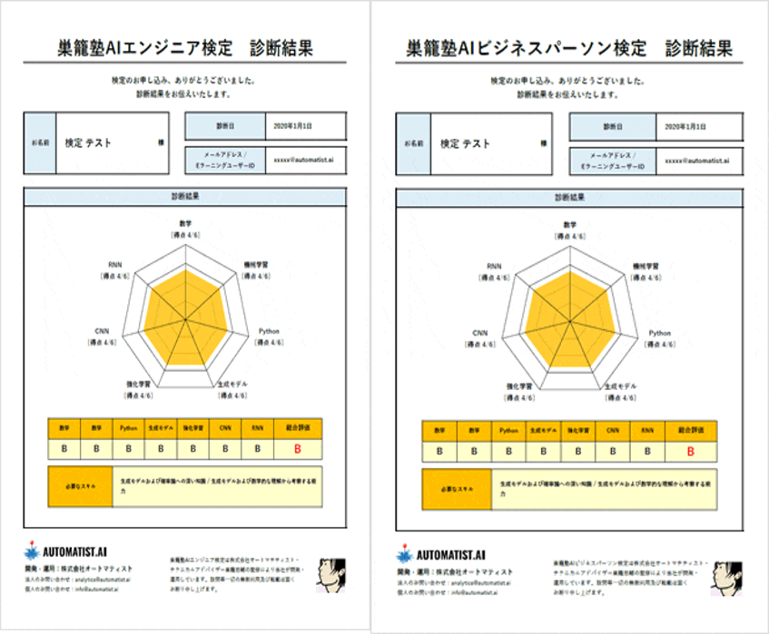 ARAによるスキル診断結果