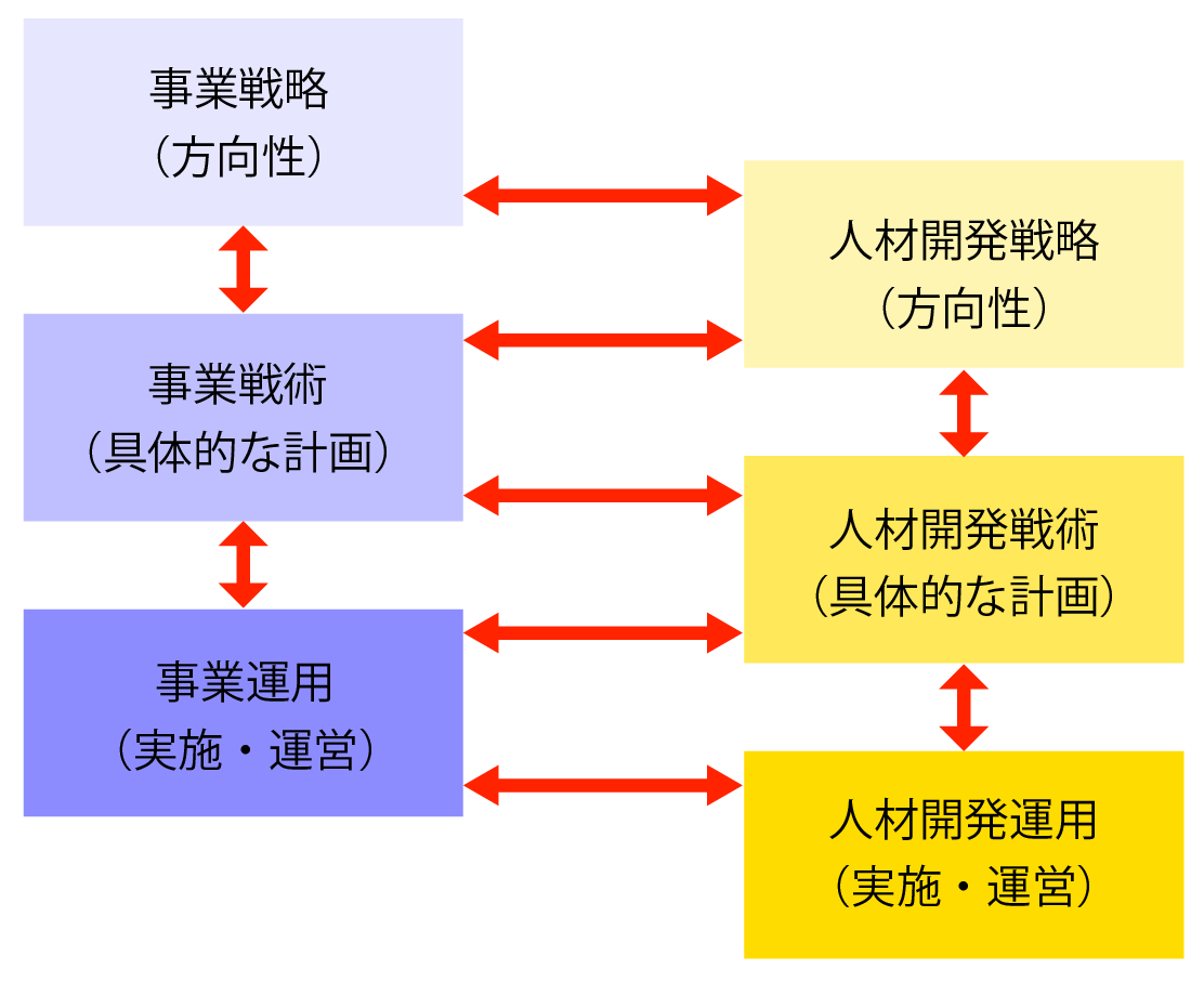これまで主流だった事業戦略に基づいた人材開発戦略の策定から始まり、それに必要な人材を開発するという考え方